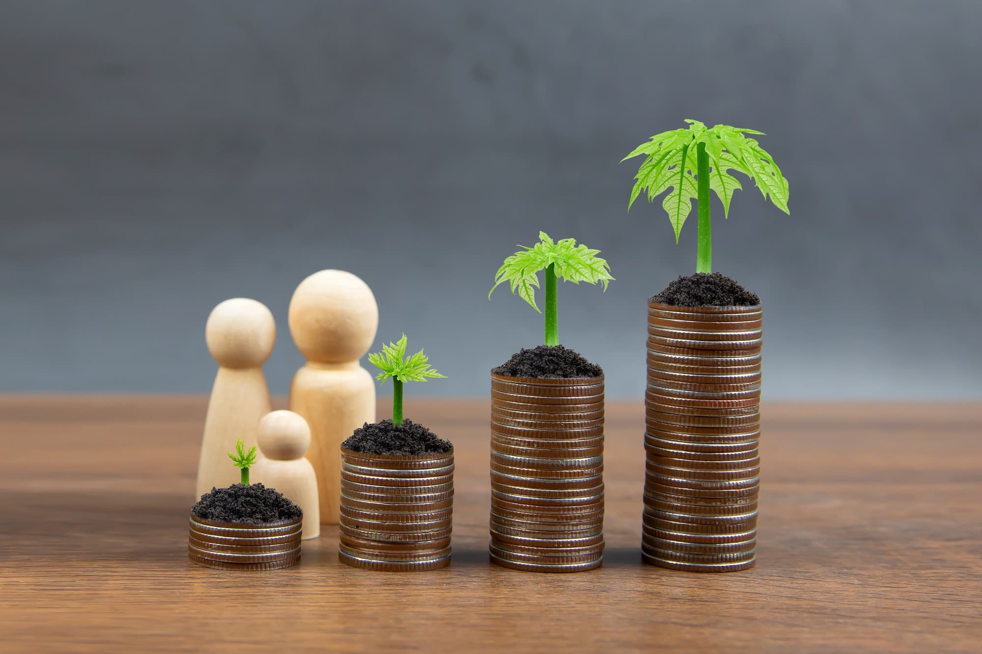 Community investment growth metaphor